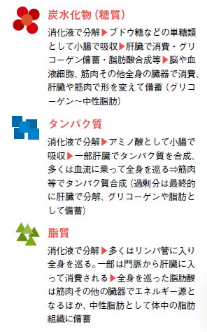 http://robust-health.jp/article/100-1.3.bmp