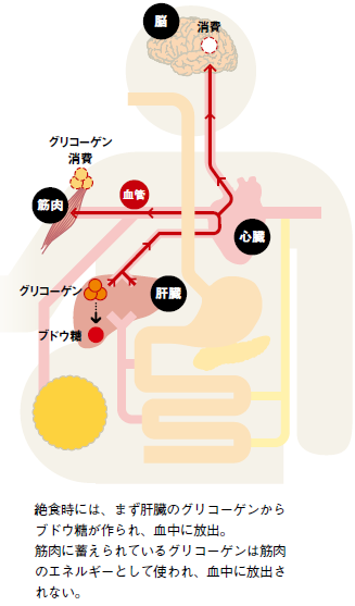 http://robust-health.jp/article/100-1.4.bmp