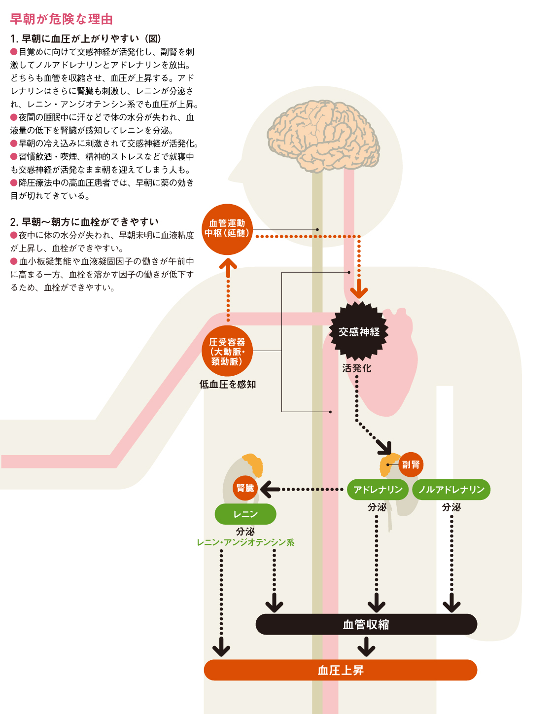 http://robust-health.jp/article/109_zuhan04.jpg