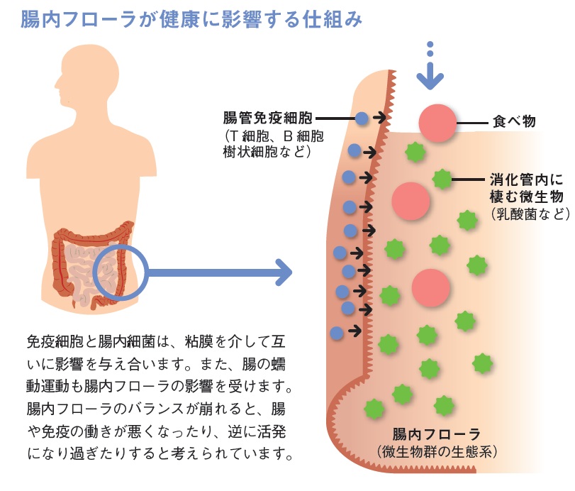 http://robust-health.jp/article/90-h.jpg